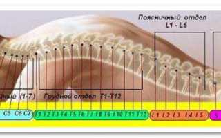 Почему тошнит и болит спина?