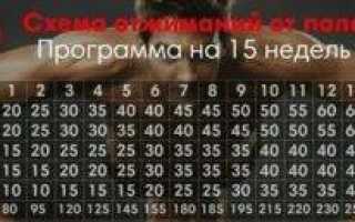 Отжимания от пола с колен: польза и недостатки для девушек и мужчин, техника выполнения