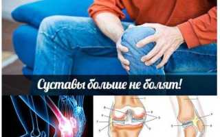 Акулий хрящ для суставов